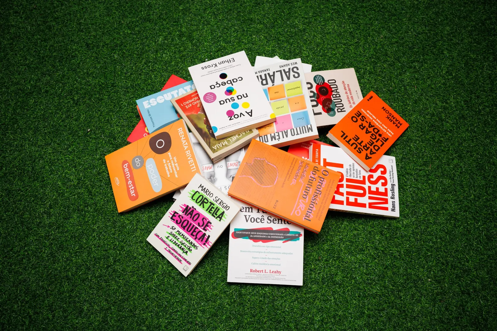 Livros de gestão e liderança no centro da roda do BAV